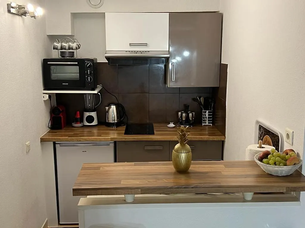 Appartement 2 Pieces Nicea